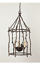songbird chandelier