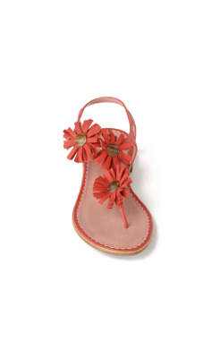 Crape Myrtle Thongs - Anthropologie.com :  anthropologie