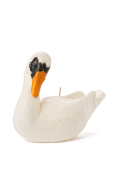 Swaziland Candle, Swan