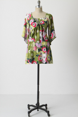 Horticulture Society Dress