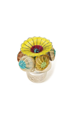 Life Cycle Ring