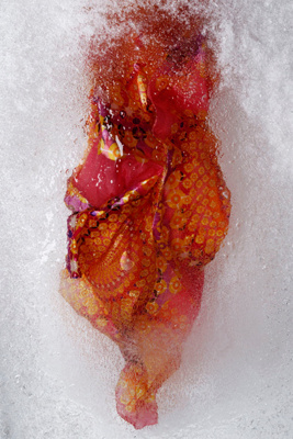 Aurorae Scarf - Anthropologie.com