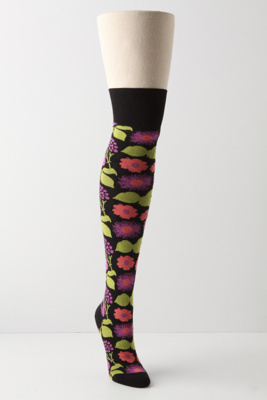 Candytuft Socks