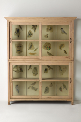 Bewick Cupboard