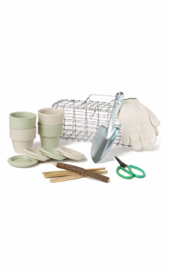 Herb Garden Kit - Anthropologie.com :  garden fun kitchen anthropologie