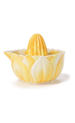 Narcissus Juicer