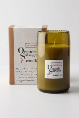 Organic Salvage For The Dogs Candle