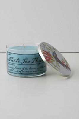 Naturalist's Notebook Candle