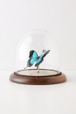 Hitherto Butterfly Globe, Green