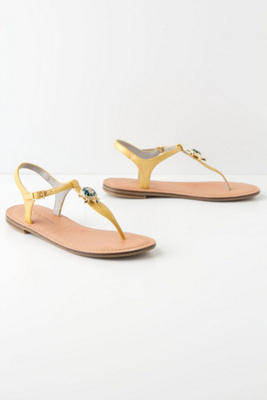 Seashine T-Straps