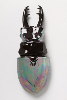 Opalescent Beetle By Thomas Eyck
