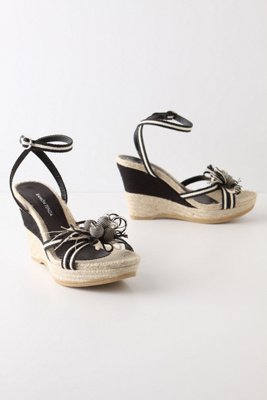 Ixia Wedges