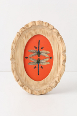 Fiddleback Frame, Oval
