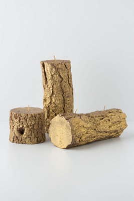 Anthropologie - Golden Pine Candles