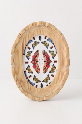 Fiddleback Frame, Large Oval