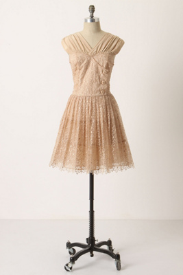 Anthropologie   Pictureshow Dress  