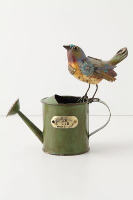 Gladiator Bird, Watering Can   Anthropologie