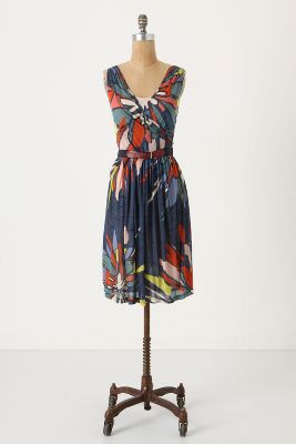 Anthropologie   Eastern Sierra Chemise  