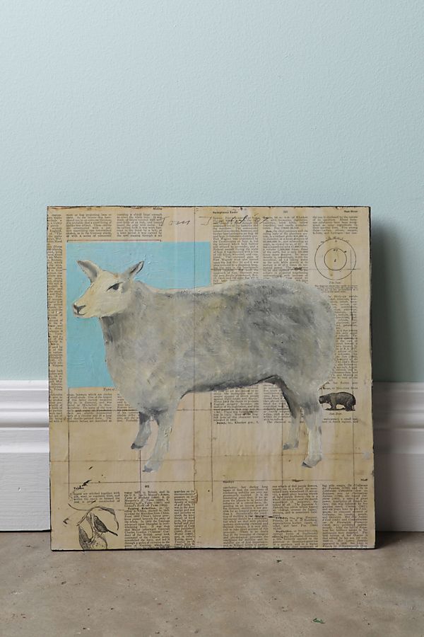 Slide View: 1: Sheep By Tom Judd