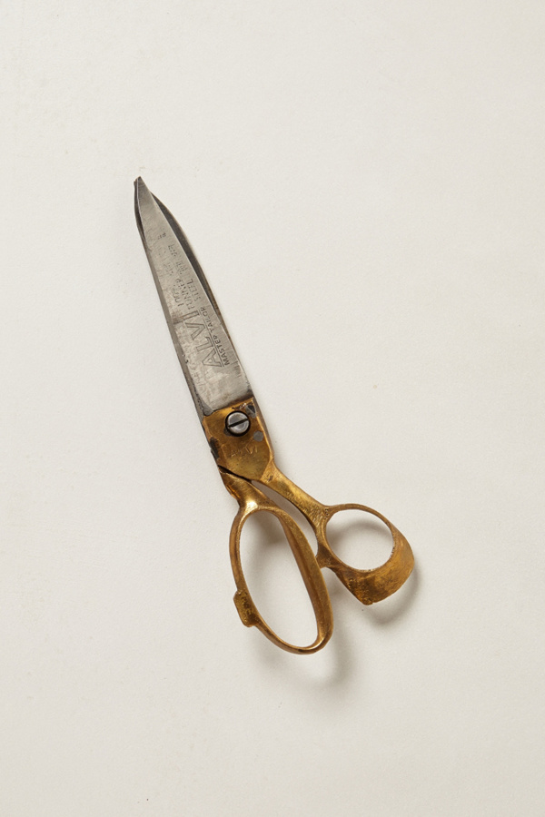 Iron Utility Scissors