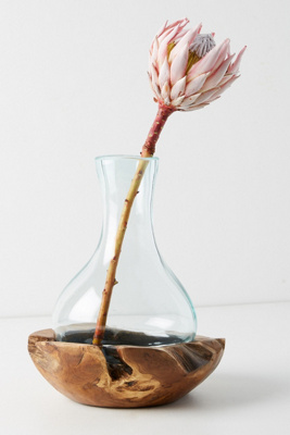 Teak & Bottle Vase Anthropologie