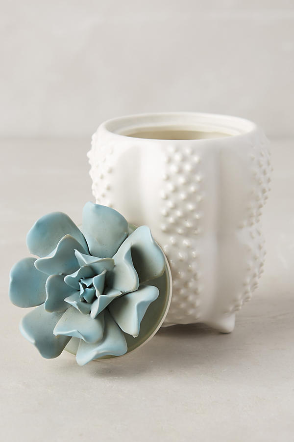 Slide View: 1: Succulent Candle