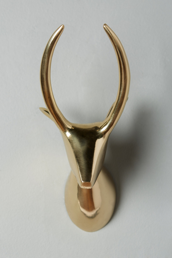 Gleaming Safari Bust Anthropologie