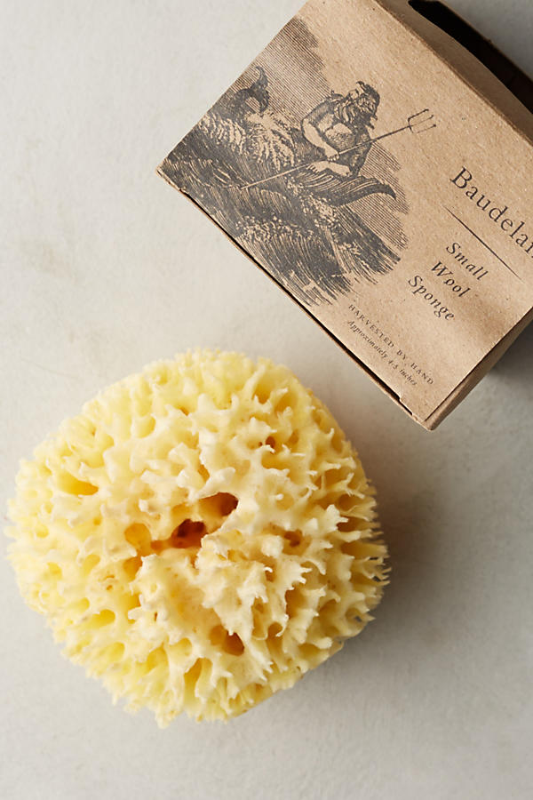 Slide View: 1: Baudelaire Small Wool Sponge