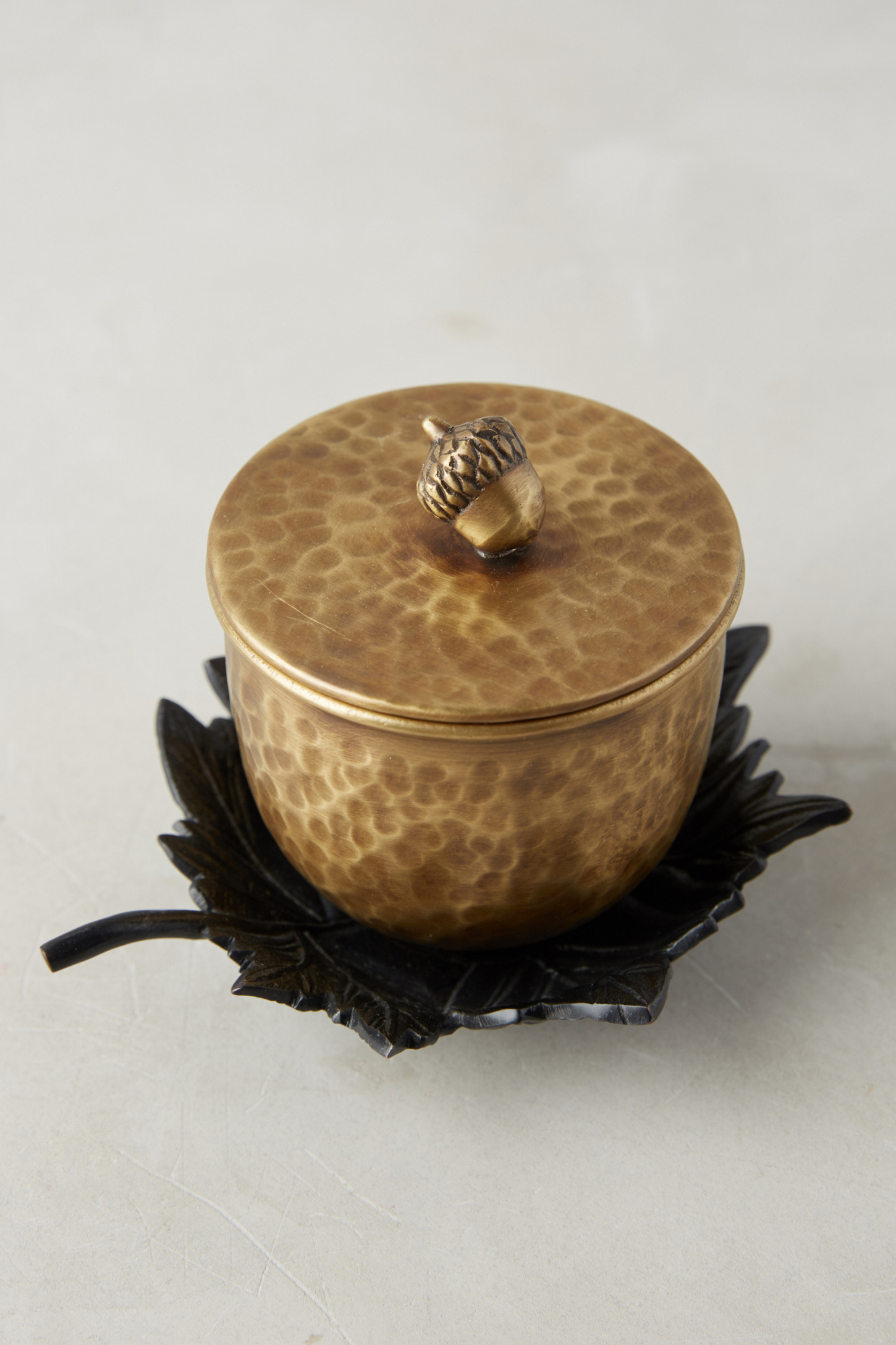 Capri Blue Autumn Acorn Candle Anthropologie