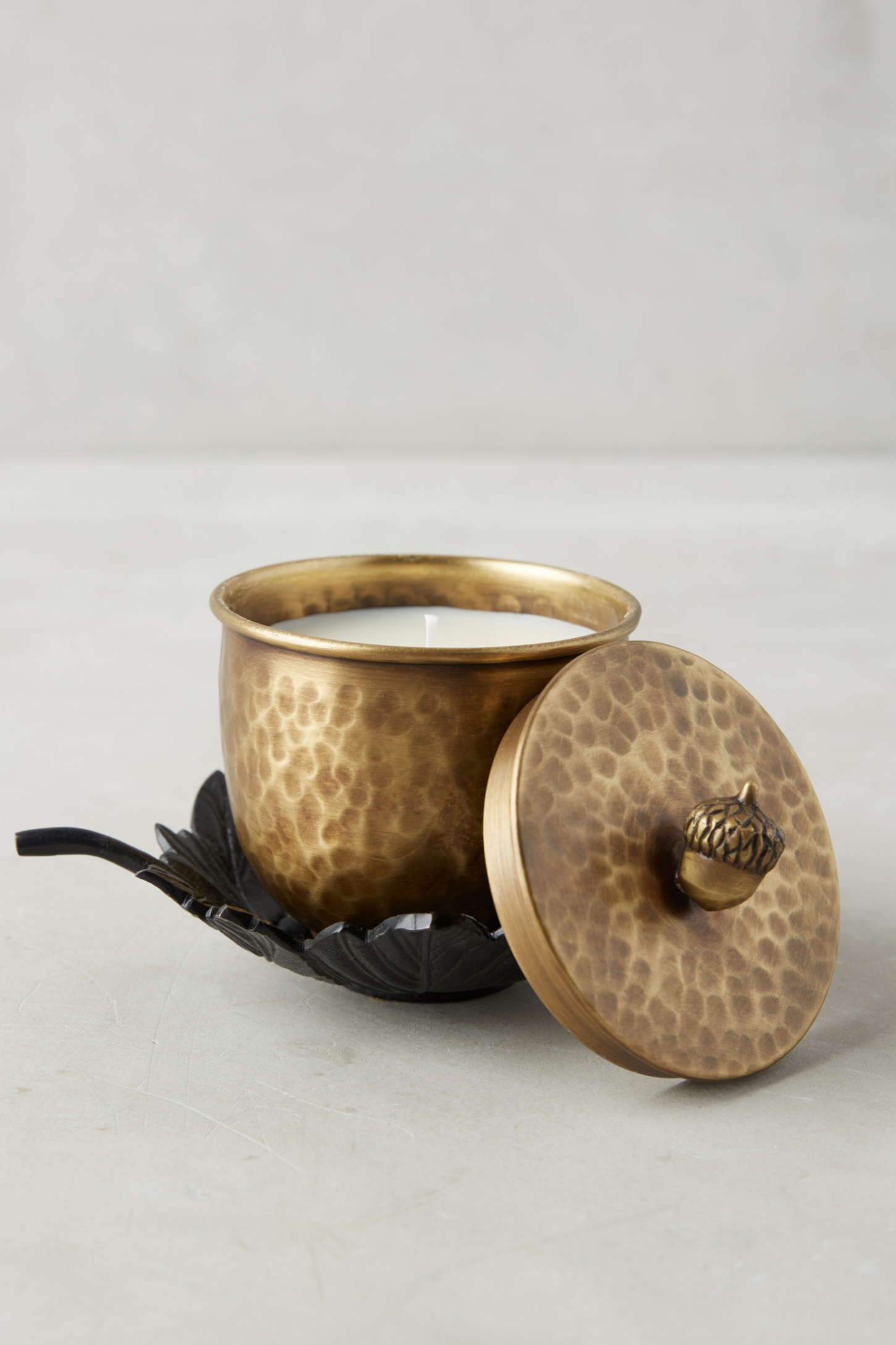 Capri Blue Autumn Acorn Candle Anthropologie