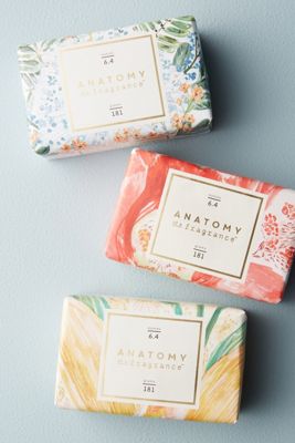 Anatomy Of A Fragrance Bar Soap