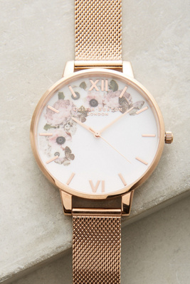 الشتاء الحديقة ووتش