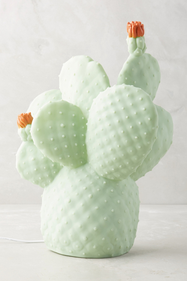 Cactus Light | Anthropologie