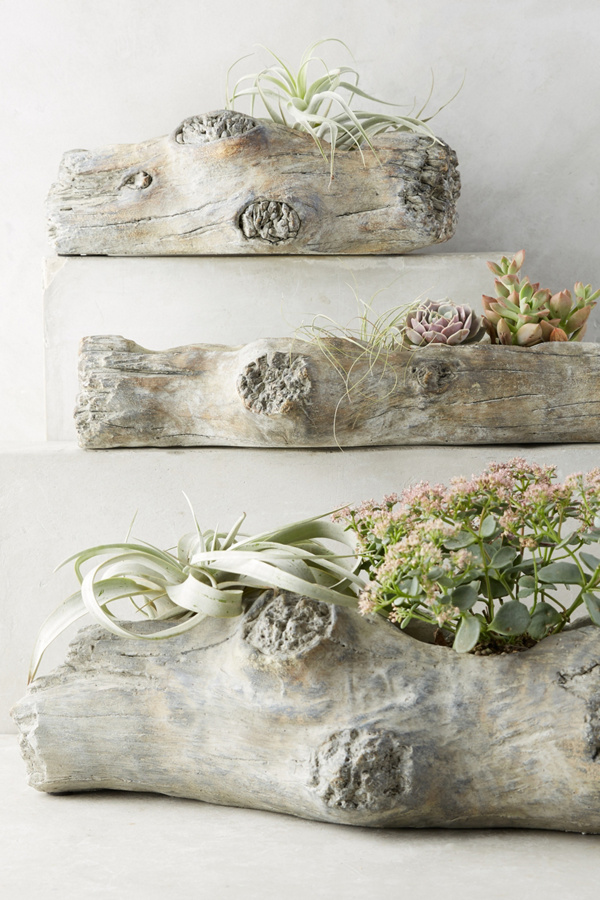 Tree Knots Planter Anthropologie
