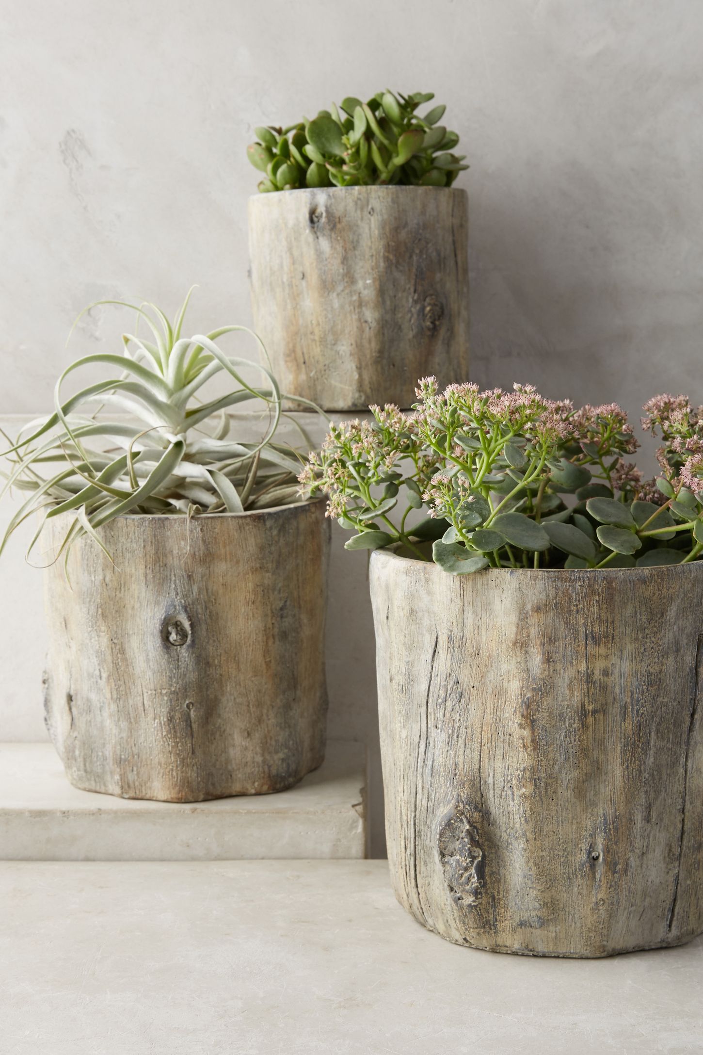 Tree Trunk Planter Anthropologie