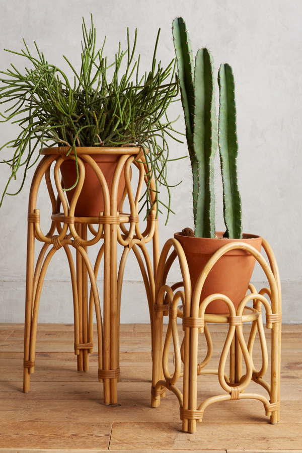  Rattan  Plant  Stand Anthropologie