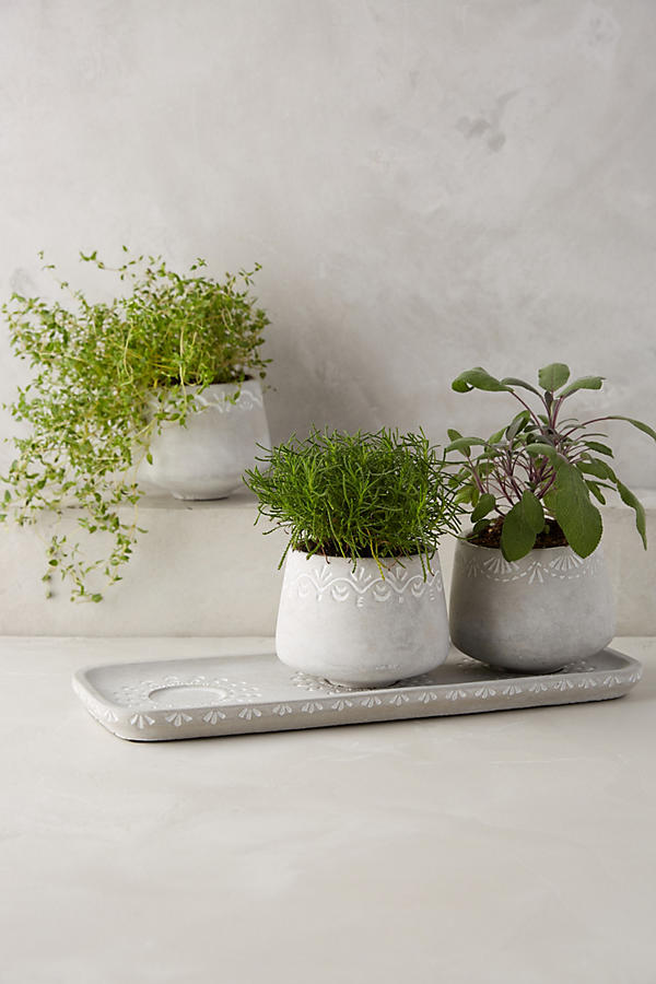 Slide View: 1: Netara Herb Planter Set