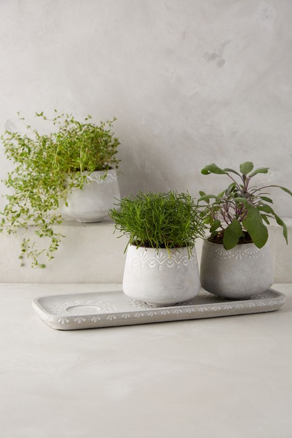 Netara Herb Planter Set Anthropologie