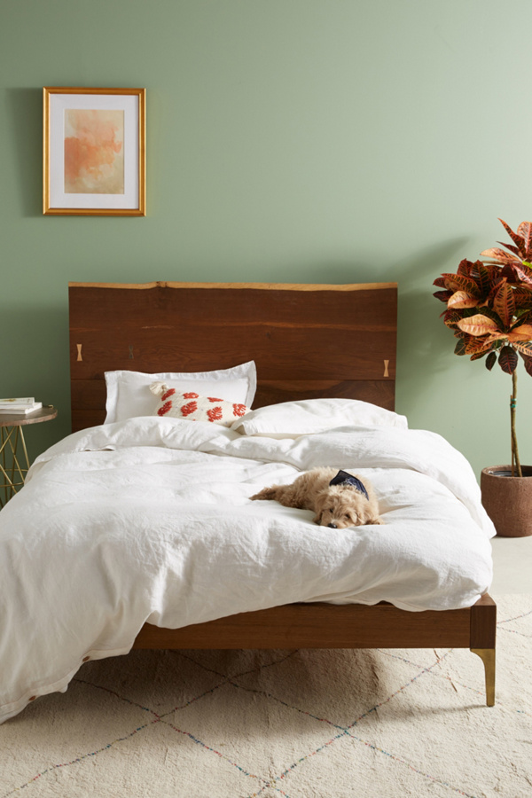 Prana Live Edge Bed | Anthropologie