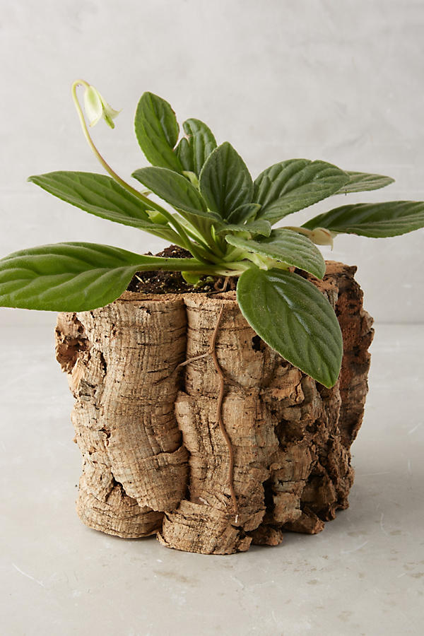 Woodland Pot