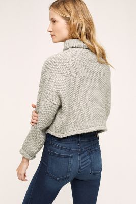 Chellie Cropped Turtleneck | Anthropologie