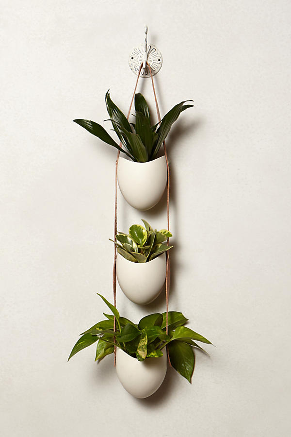 Leather-Latched Wall Planter