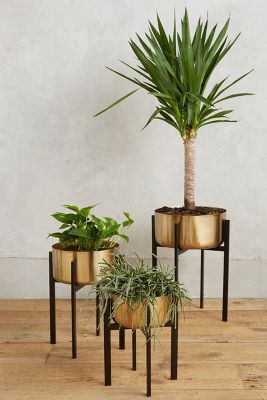 Rossum Metallic Plant Stand  Anthropologie