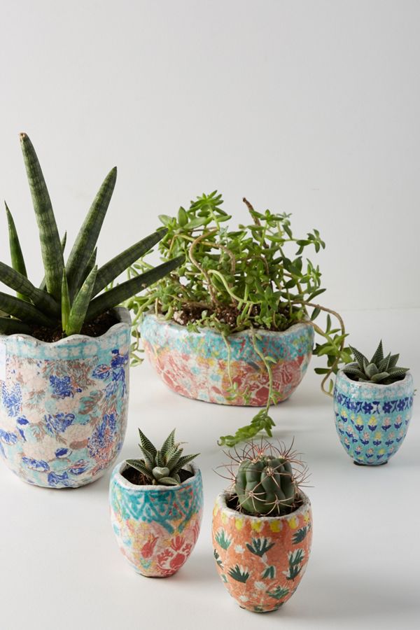 Slide View: 2: Bismark Garden Pot