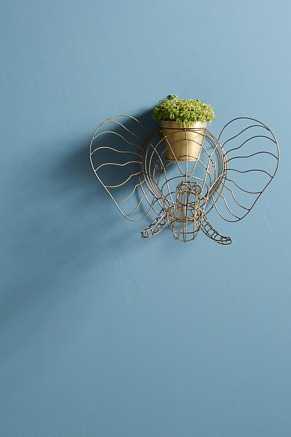 Slide View: 1: Wireframe Safari Planter