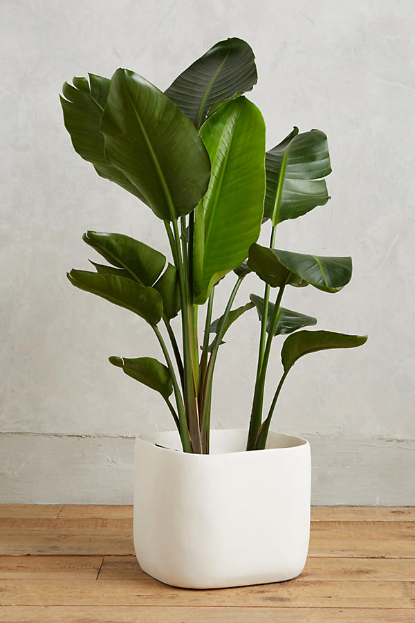 Slide View: 1: Sculpted Planter