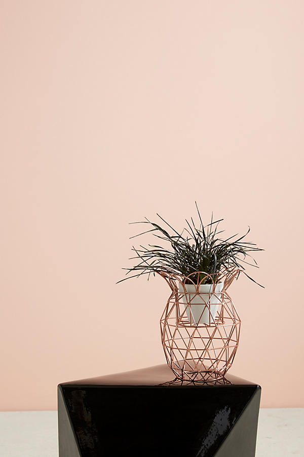 Slide View: 1: Wired Tropics Plant Stand