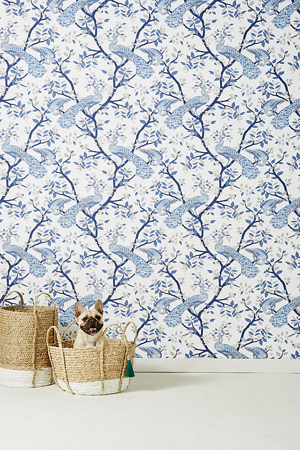 Slide View: 1: Pastel Plumage Wallpaper