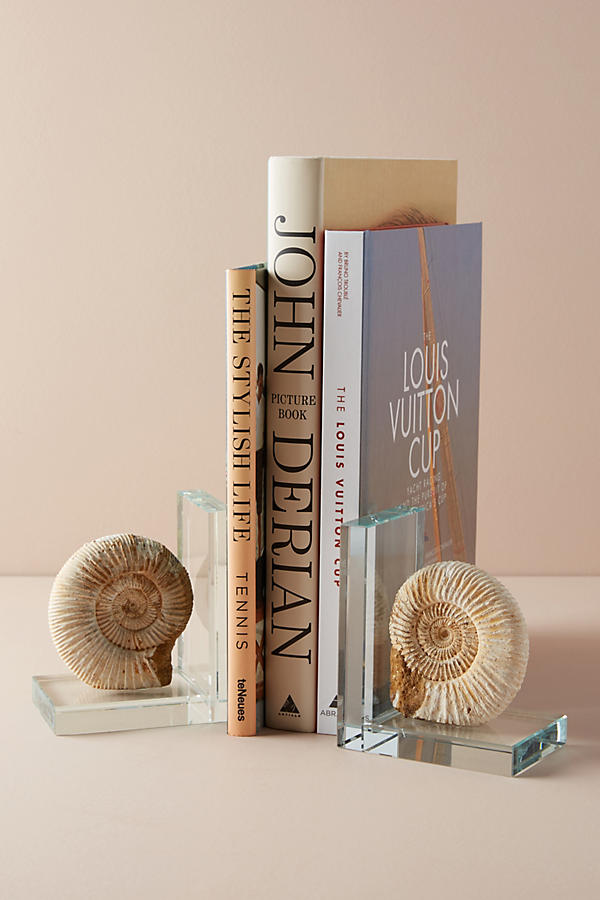 Slide View: 1: Fossil Form Bookends