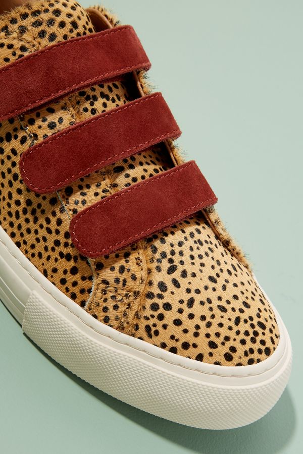 basket no name leopard